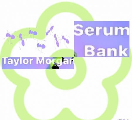 Taylor Morgan Serum Bank 1 Synth Presets